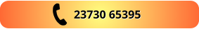 23730 65395  23730 65395
